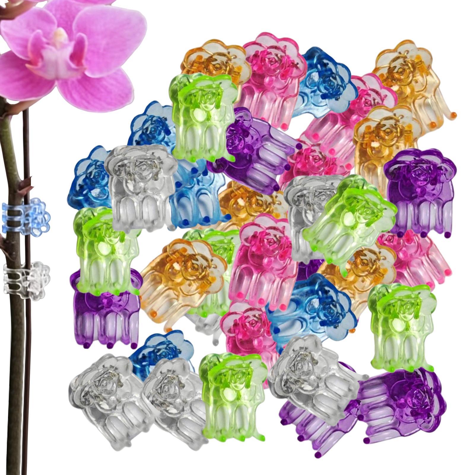 Greenhouse Plastic Film - Klipsy do orchidei 60 sztuk, klipsy