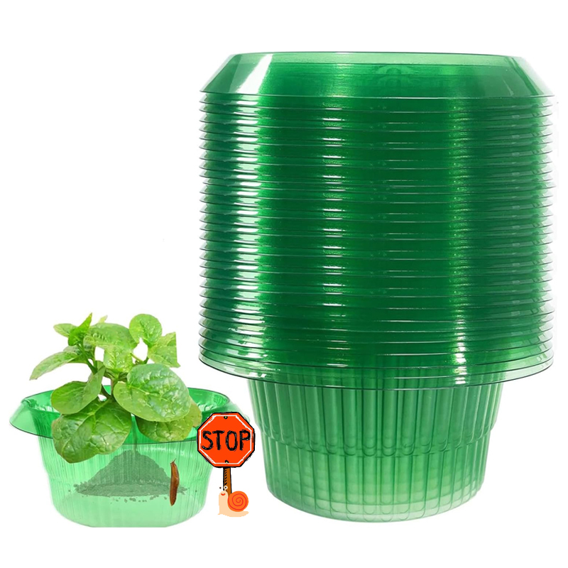 Vegetable Transplanter - 5-25 sztuk rośliny pierścienie zabezpieczające przed