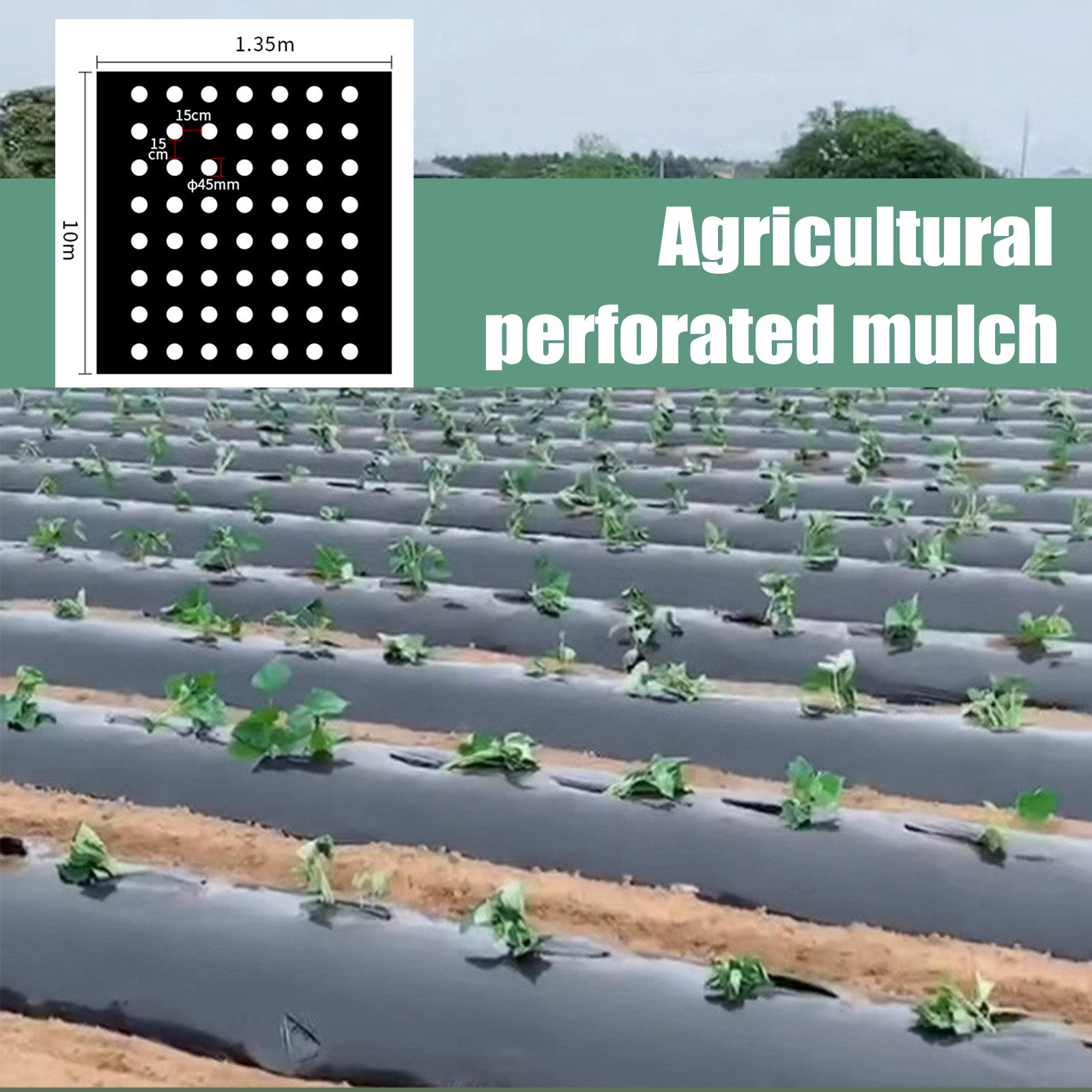 Greenhouse Plastic Film - Folia perforowana PE do mulczowania, artykuły