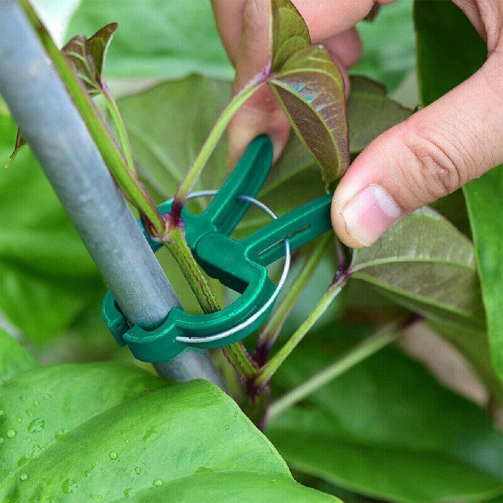 Wytrzymałe klipsy do roślin og – Greenhouse Plastic Film recenzja i cena